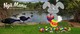 Nga Manu Easter Celebration