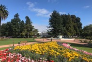 Image for event: Vigil for Christchurch