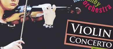 Violin Concerto Plus