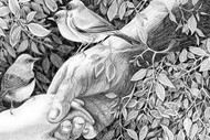 Image for event: Our Garden of Earthly Delights - Lianne Adams