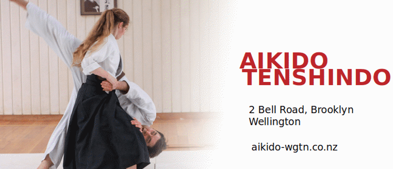 Introduction to Aikido Introduction to Aikido