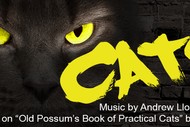 Image for event: Cats: SOLD OUT