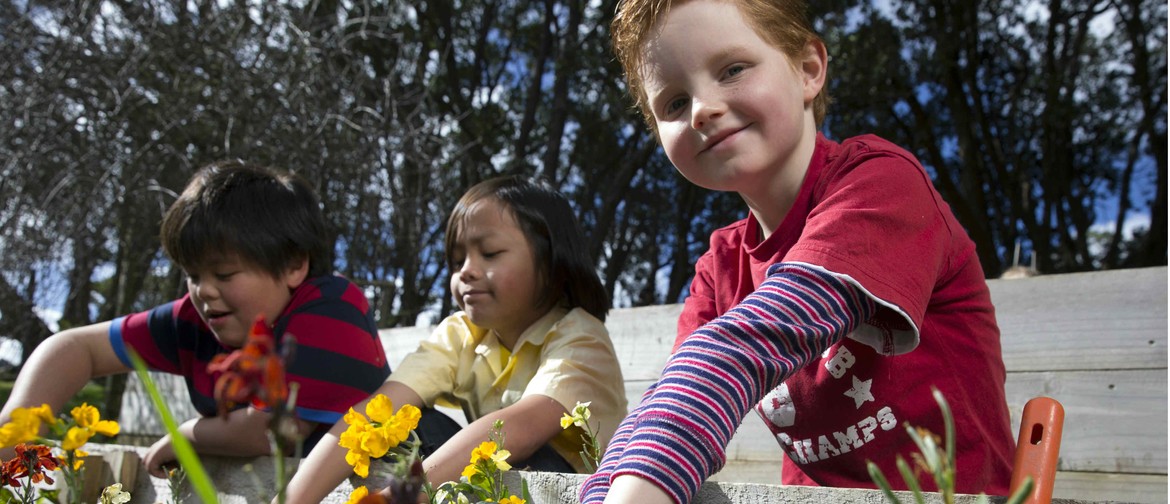 Wellington Gardens April School Holiday Programmes