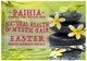 Paihia Natural Health & Mystic Fair