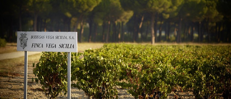 Prestige Wine Tasting - Vertical of Vega-Sicilia Valbuena