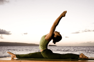 Image for event: Yoga & Wellness