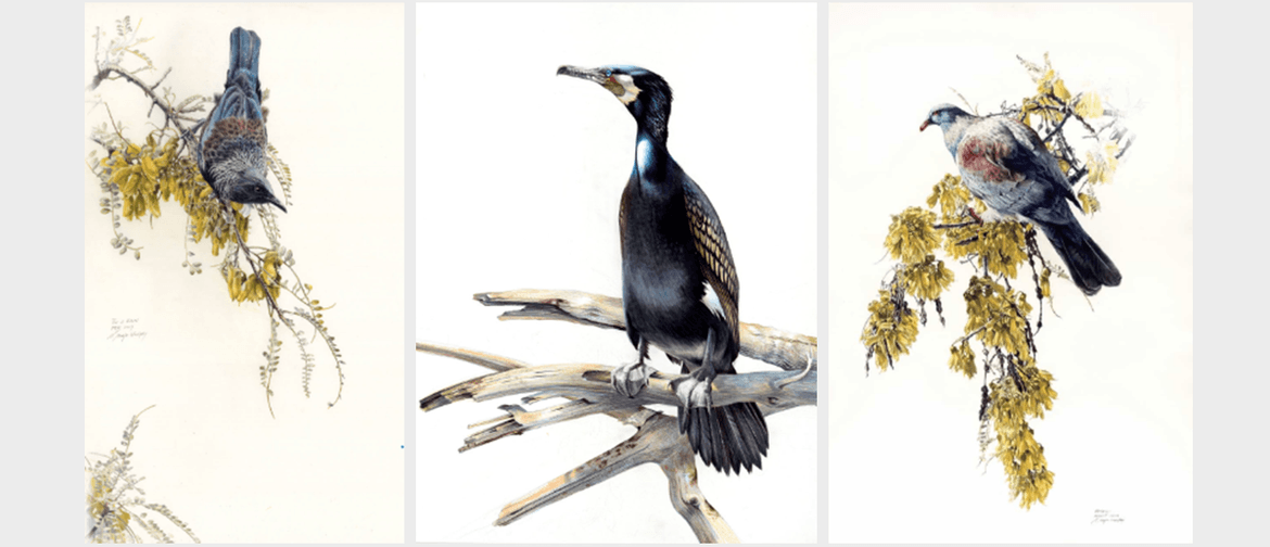 Niels Meyer-Westfeld Exhibition Land of Birds