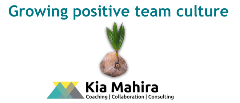 Growing Positive Team Culture - 4 Hour Workshop