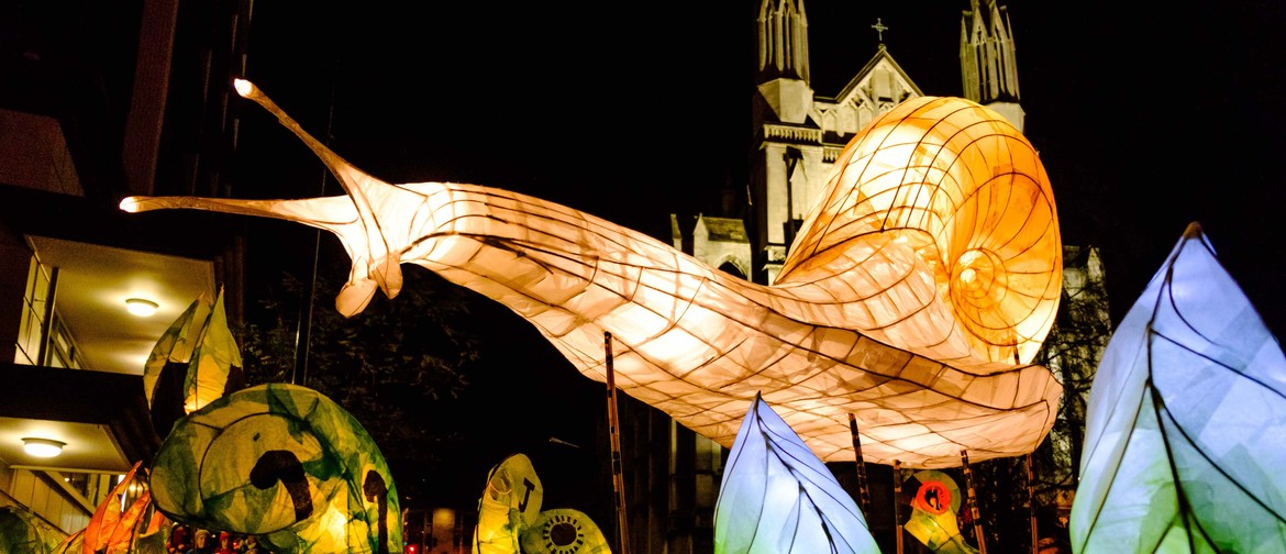 Dunedin Midwinter Carnival 2019