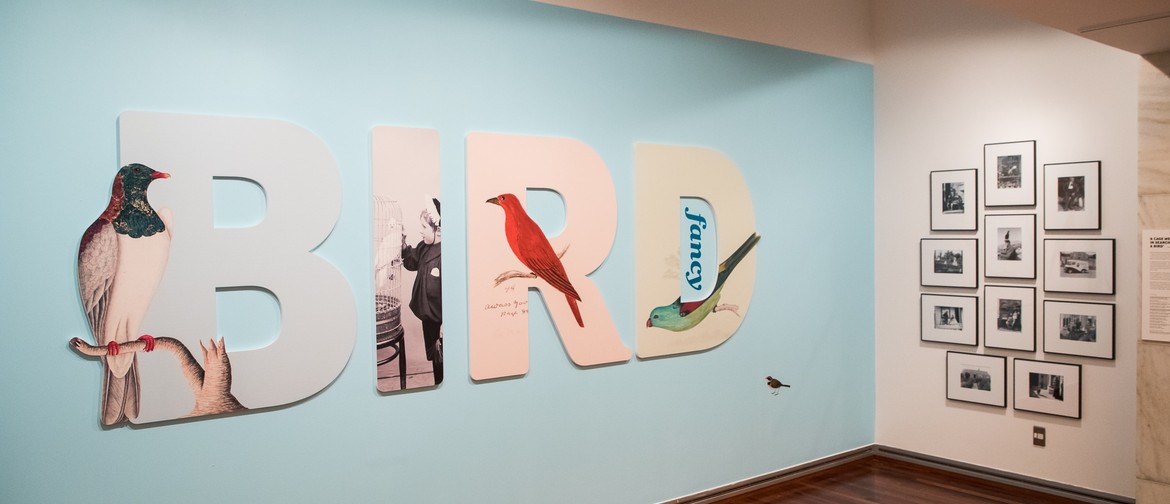 Bird Fancy Exhibition
