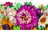 Image for event: Botanica
