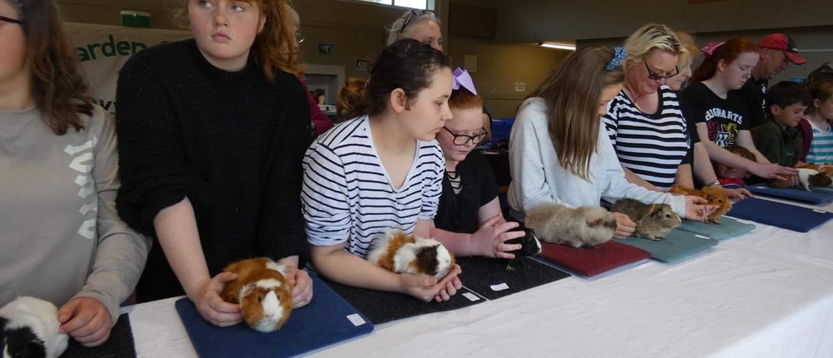 Garden City Cavy Club Show Day - All Breeds and Pets