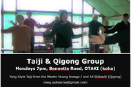 Image for event: Taiji and Qigong Classes
