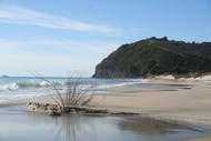 Image for event: Waihi Beach Art & Craft Fair
