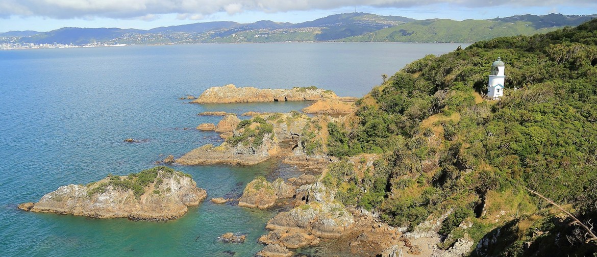 Archaeology Trip to Matiu Somes Island