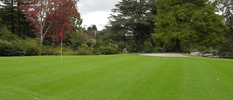 Ladies Day Trip to Whitford Park Golf