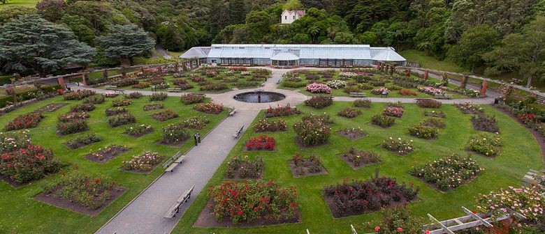 Botanic Gardens Day Walk: The Lady Norwood Rose Garden
