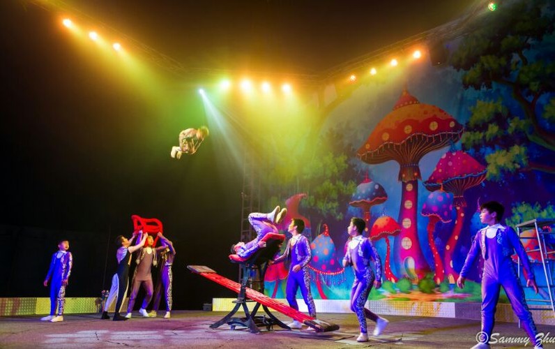 Cirque Grande Auckland Eventfinda