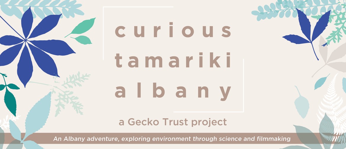 Curious Tamariki