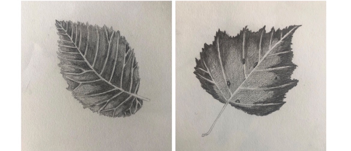 Observational Drawing of Autumn Leaves