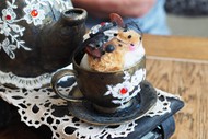 Image for event: Teapot Racing