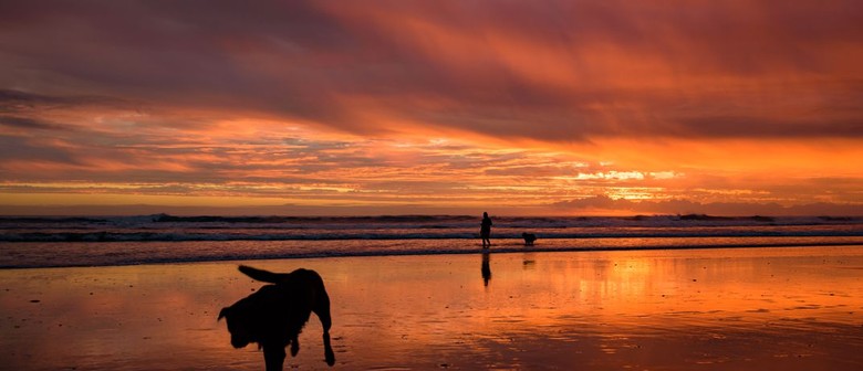Photography Field Trip - West Coast Sunset at Muriwai Beach