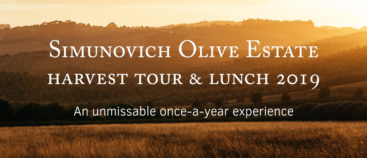 Simunovich Olive Estate Harvest Tour & Lunch