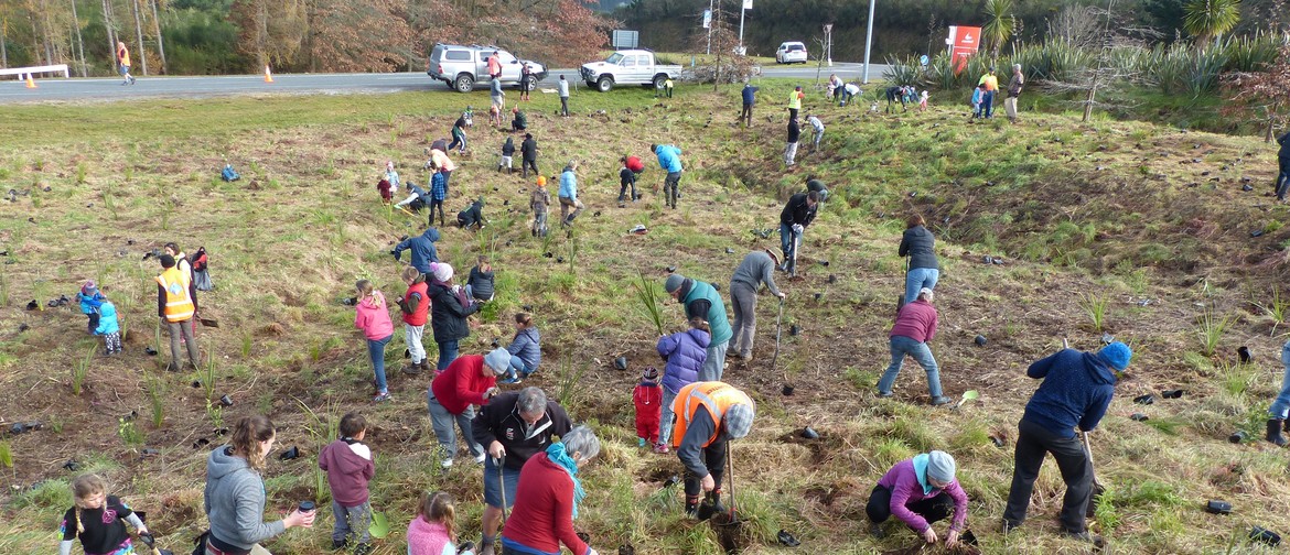 Greening Taupo and Contact Energy Community Planting Day