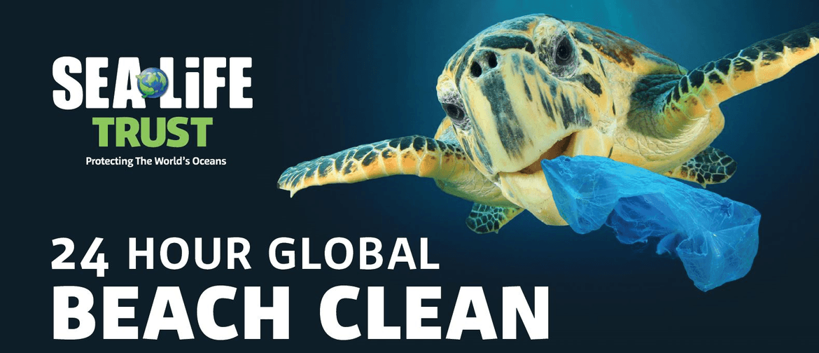24-Hour Global Beach Clean