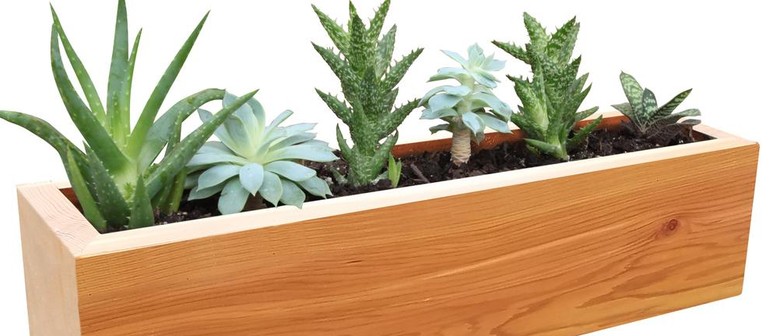 Build Your Own Planter Box