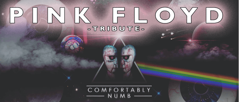 Pink Floyd Tribute Comfortably Numb Methven Eventfinda