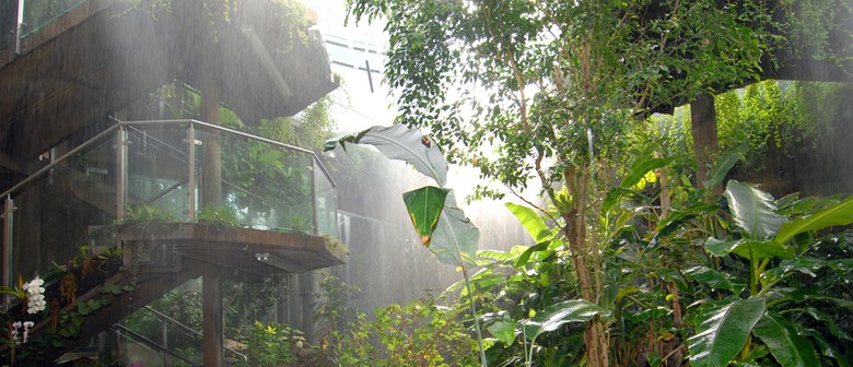 World Rainforest Show