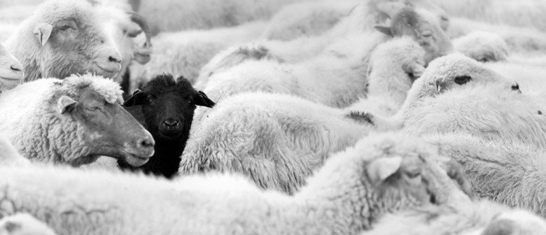 Black Sheep: A Cult Gathering