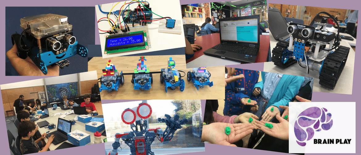Technology Holiday Programme - Two-day Robotics (8+)