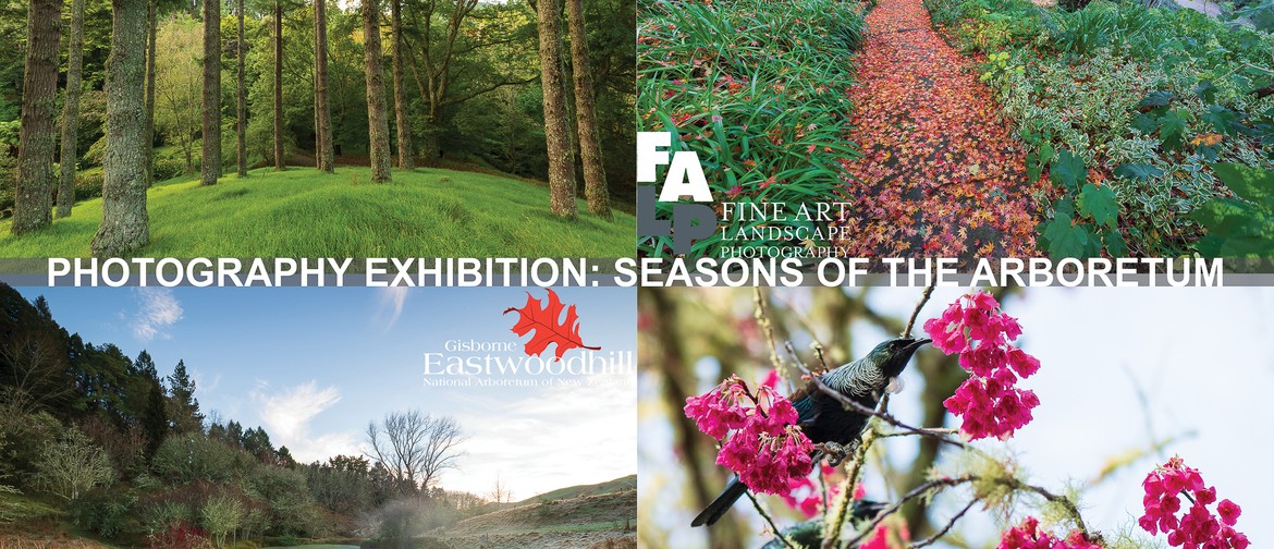 Photography Exhibition: Seasons of the Arboretum