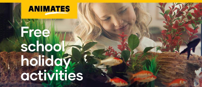 Animates Whangarei - School Holiday Activities