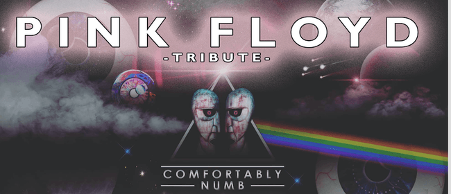 Pink Floyd Tribute Comfortably Numb Hokitika Stuff Events