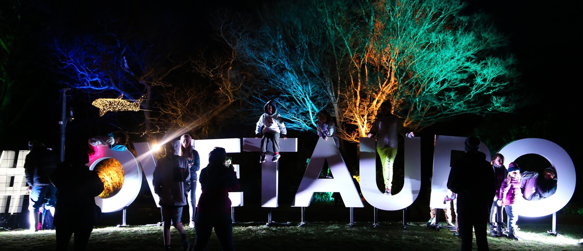 Unison Light Hub - Taupo Winter Festival 2019