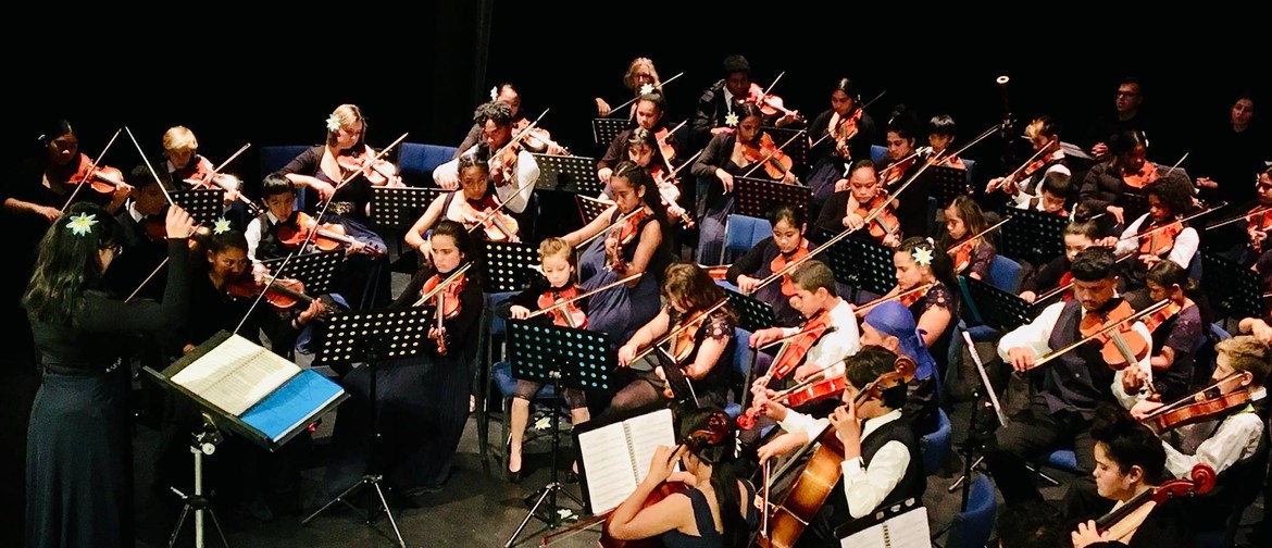 Virtuoso Strings Orchestra Bay of Islands Tour