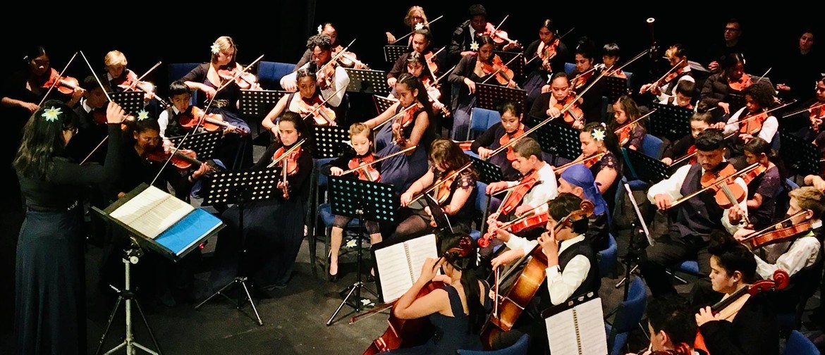 Virtuoso Strings Orchestra Bay of Islands Tour