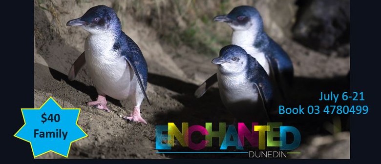 Enchanted Blue Penguin Family Deal