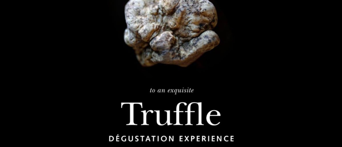 Truffle Degustation Experience