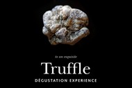 Image for event: Truffle Degustation Experience
