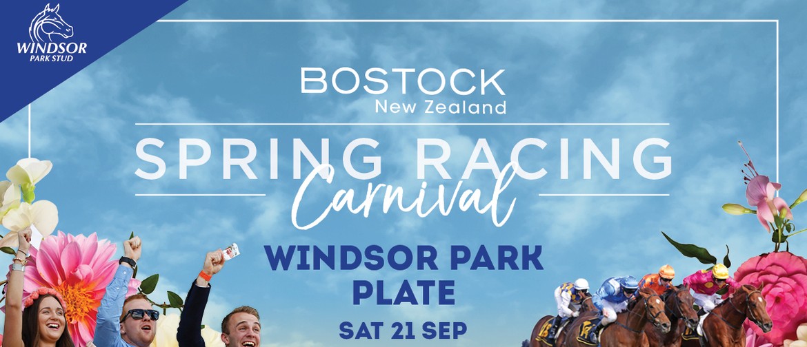 Windsor Park Plate - Bostock NZ Spring Racing Carnival