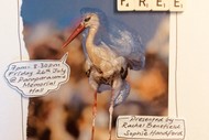 Image for event: How to Shop Plastic