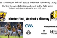 Image for event: Hurling On the Big Screen