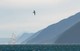 Fiordland Captain Cook/ Tuia250 Adventure