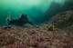 Fiordland Wilderness Adventure
