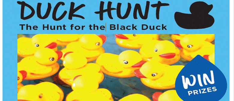 Duck Hunt: The Hunt for The Black Duck