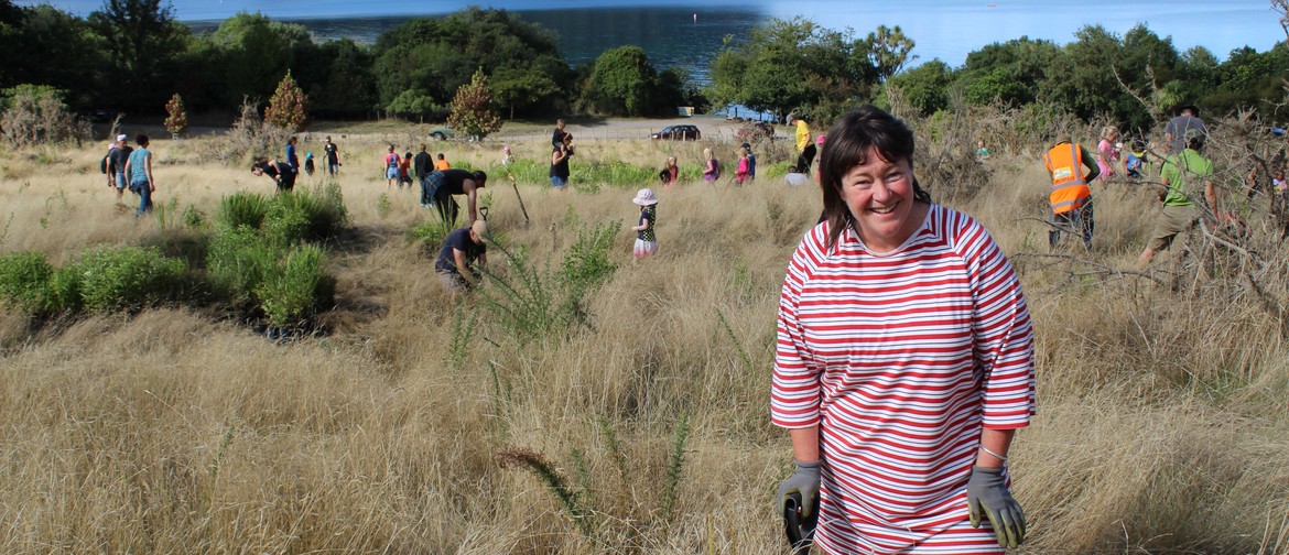 Whakaipo Bay Community Planting Day